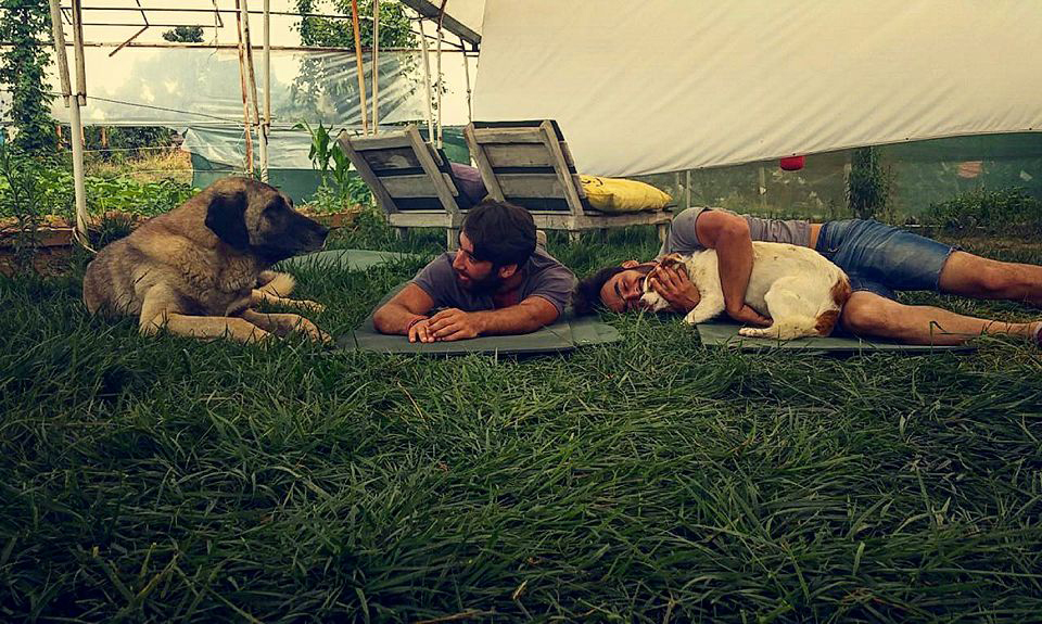 hasat-ciftlik-galeri-35